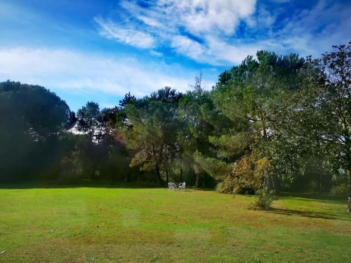 Quatre Saisons été Appartement *
